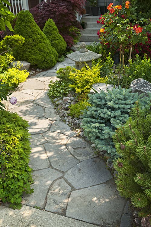 A Cut Above Lawn Care project 2