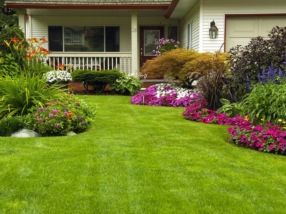 A Cut Above Lawn Care project 1