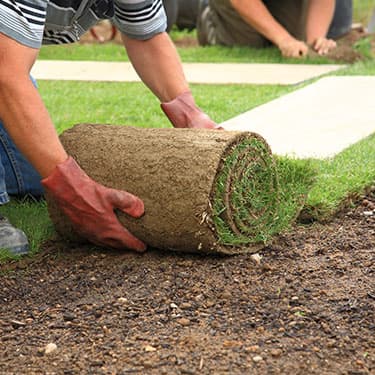 Aeration project by A Cut Above Lawn Care Inc
