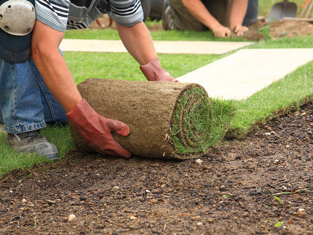 Sodding by A Cut Above Lawn Care Inc